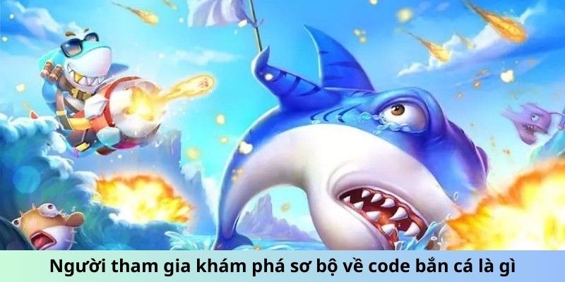 Người tham gia khám phá sơ bộ về code bắn cá là gì